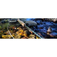 DOUGLAS SKY G Fly Rod